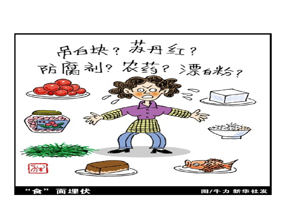 幻燈片13.PNG