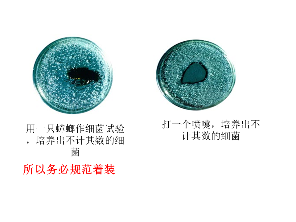 幻燈片30.PNG